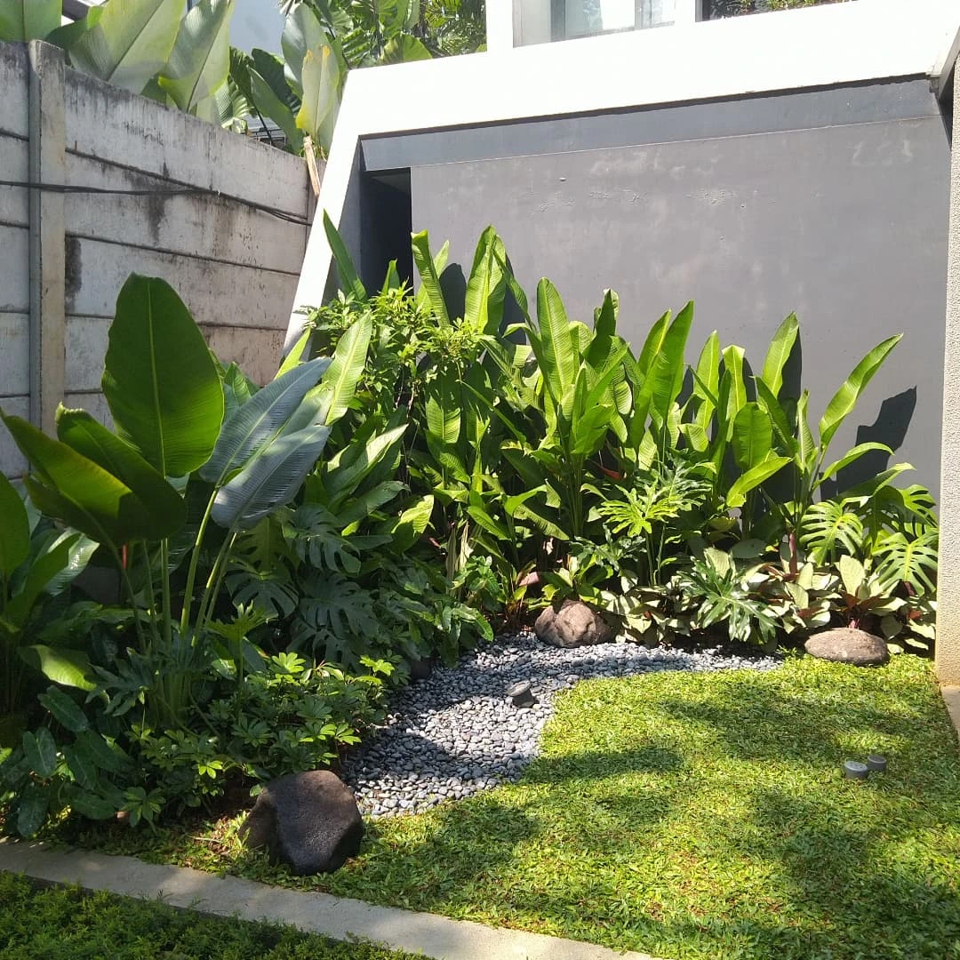 Taman Tropis