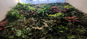 vertical garden sintetis outdoor
