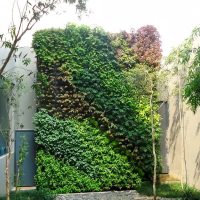 jasa-pembuatan-vertical-garden Jasa Pembuatan Vertical Garden